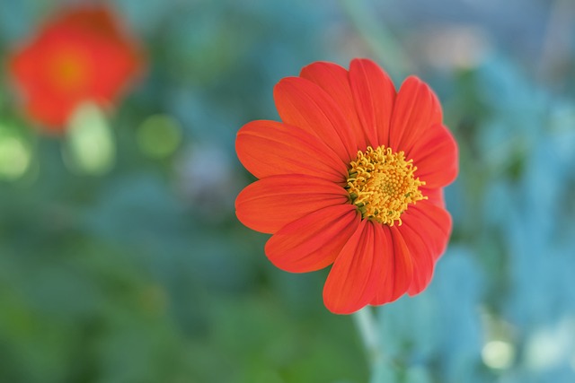 在未来国际 在未来国际