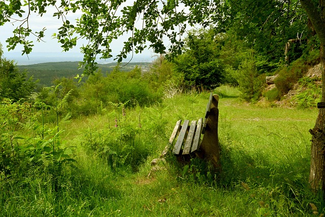 也让我们期 也让我们期